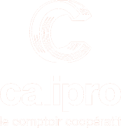 Calipro Logo text
